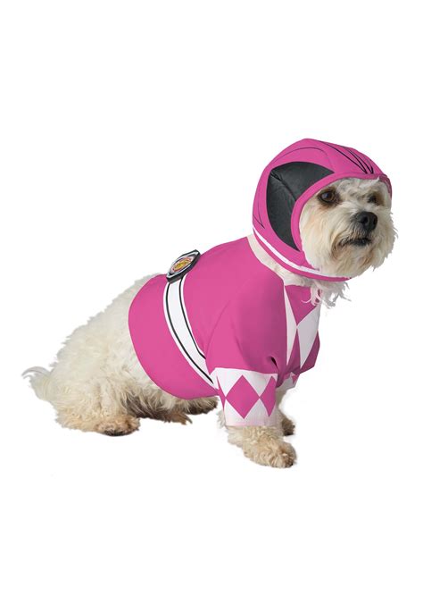 Power Ranger Dog Costume
